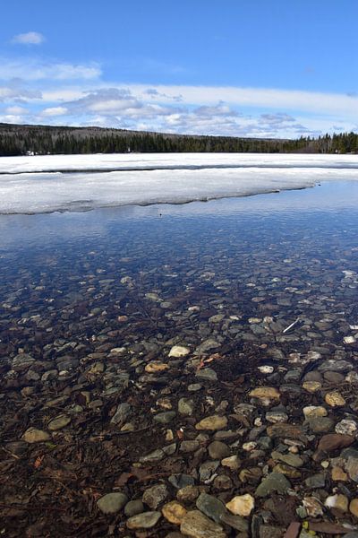 Ijskappen op het meer in de lente van Claude Laprise