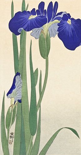 Japanse blauwe irissen door Ohara Koson