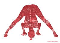 Prasarita Padottanasana in Rot
