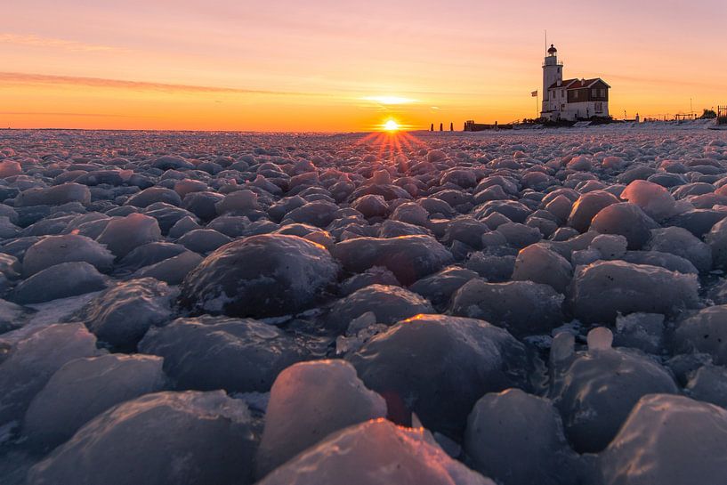 Pferd von Marken. von Corné Ouwehand