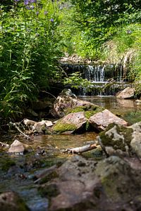 Ein Bachlauf im Harz