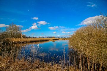 Landschap van een meer nabij Giethoorn van Maarten Salverda