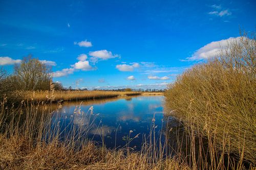 Lake near Giethoorn