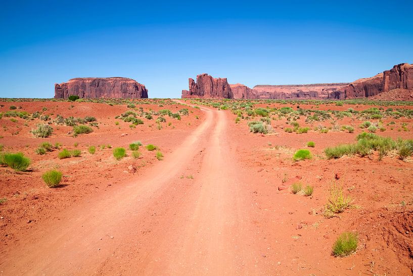 Monument Valley Drive van Melanie Viola