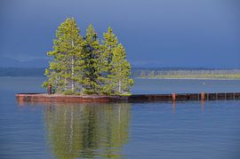 Xpozer  von Dagmar Schlegel-Schirrmacher