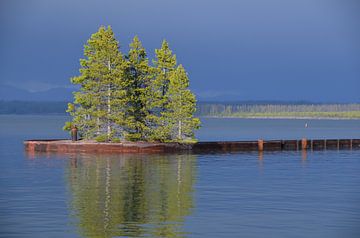 Xpozer  by Dagmar Schlegel-Schirrmacher