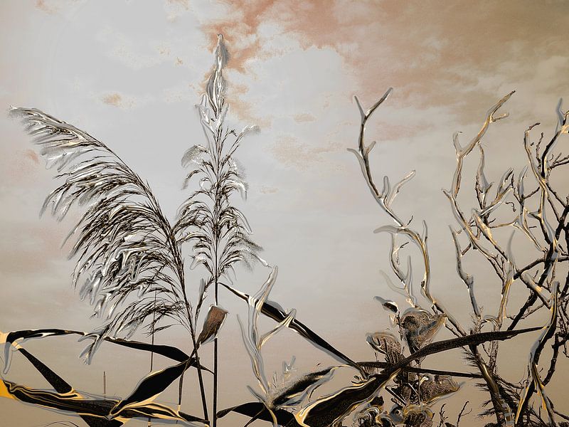 Kunst der Natur von Heidrun Carola Herrmann