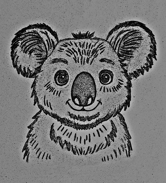 Koala ( print ) par Jose Lok