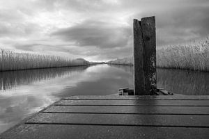 Silence before the storm by Randy Riepe