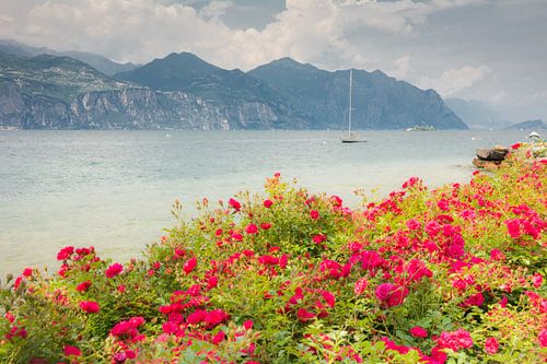 Promenade au bord du lac de Garde