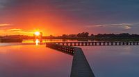 't Roegwold, Groningen, Niederlande von Henk Meijer Photography Miniaturansicht