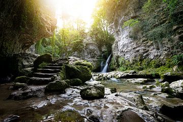 Mystische Schlucht von Franziska Jungen