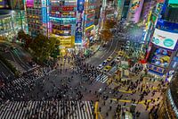 Shibuya Japan