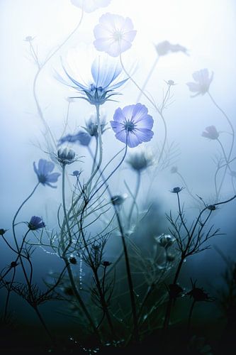 Misty Morning Mood