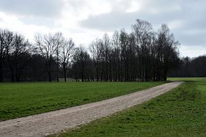 Ein Schotterweg über ein Grundstück