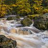 De Hoegne in de herfst - Mooie Ardennen van Rolf Schnepp