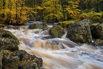 De Hoegne in de herfst - Mooie Ardennen van Rolf Schnepp