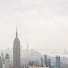 Empire State Building New York City von Wianda Bongen