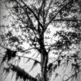 Pinhole boom 4008B/W sur Rudy Umans