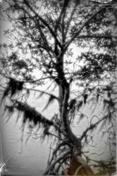 Pinhole boom 4008B/W