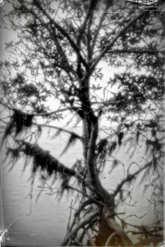 Pinhole boom 4008B/W