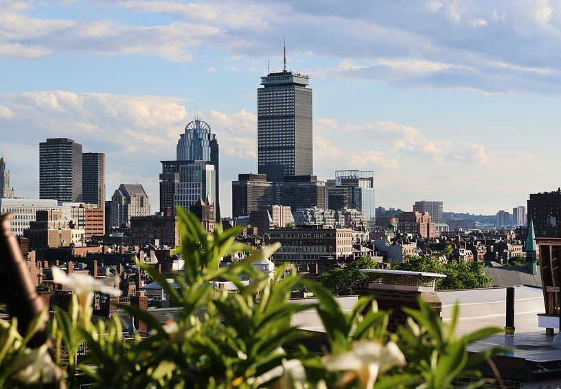 Boston by Hello Pompoyo