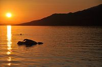 Zonsondergang met zwemmer en waterscooter