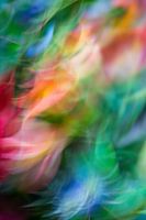 Mer de couleurs
