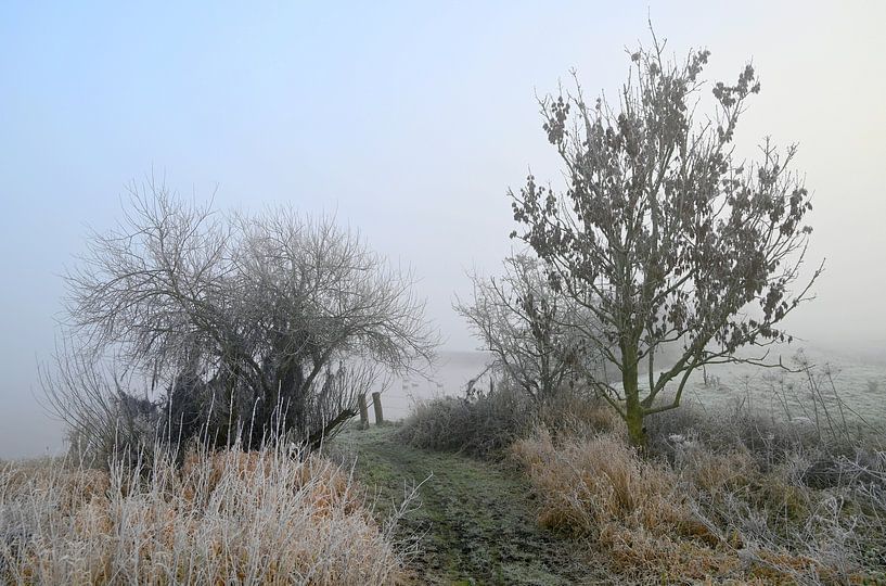 Bild Winter von Jose Lok