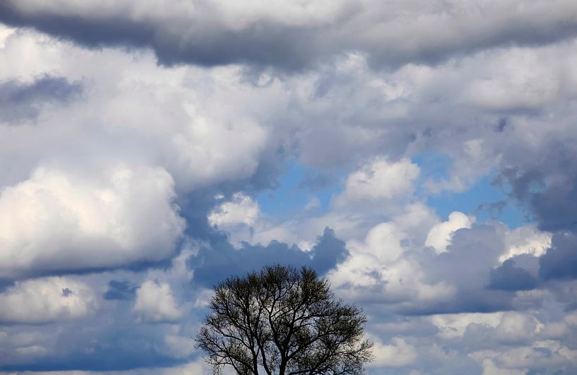 Lonely by Thomas Jäger