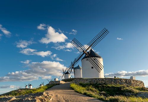 Historische windmolens van Don Quichot, in La Mancha (Spanje).