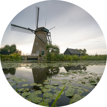 Nederwaard Molen no. 6