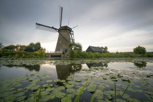 Nederwaard Molen no. 6
