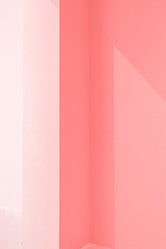roze frame 1 van Michael Schulz-Dostal