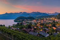 Sunrise in Spiez in the Bernese Oberland by Henk Meijer Photography thumbnail