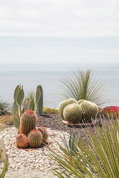 Botanical Garden in Éze, southern France by Henrike Schenk