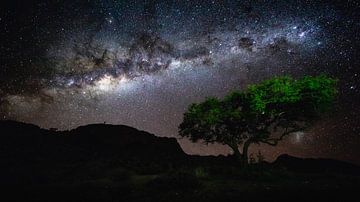 Sterrenhemel met Melkweg boven boom - Aus, Namibië van Martijn Smeets