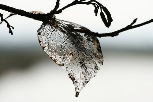 The end by Carla Mesken-Dijkhoff