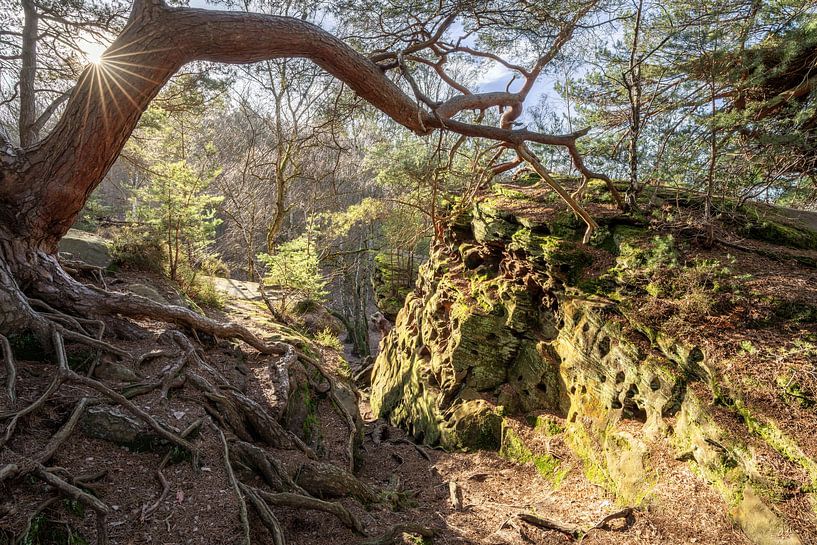 Katzensteine, Voreifel, North Rhine-Westphalia, Germany by Alexander Ludwig