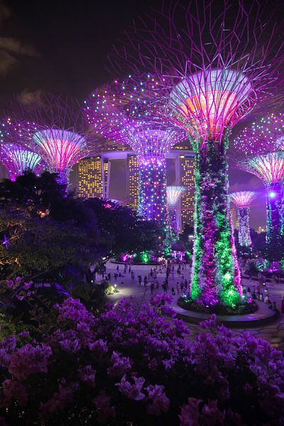 Singapore by Hello Pompoyo
