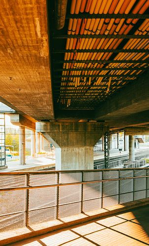 Sous les viaducs – Lumière dorée sur béton & rails