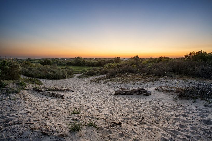 Hoek van Holland by Luc Buthker