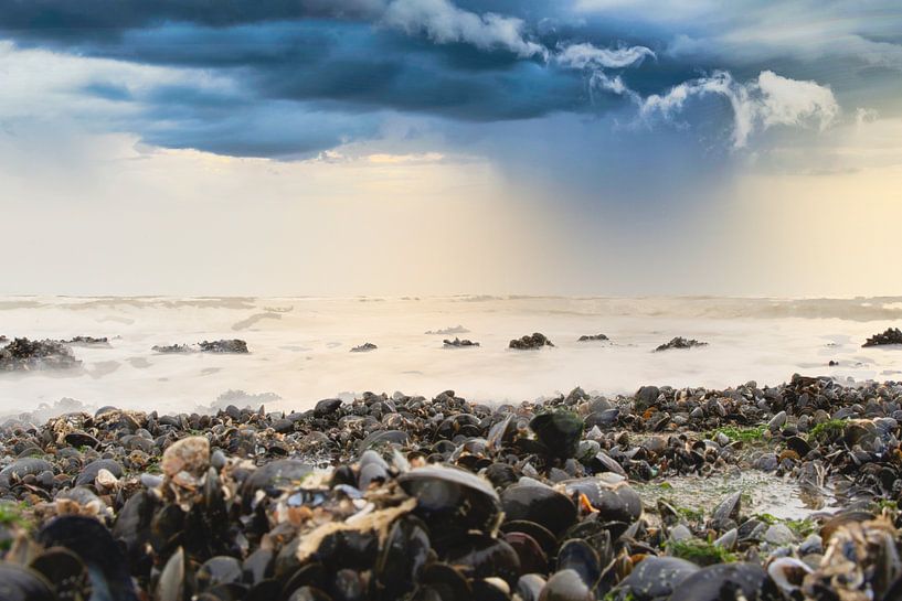 Beach by WeVaFotografie