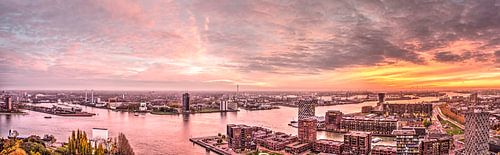 Panorama Rotterdam at sunset