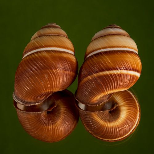 Wij zijn niet thuis: Twee lege huisjes in het groen