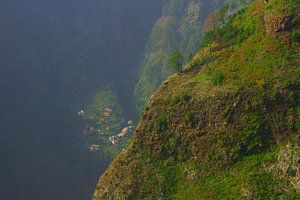 Madeira sur Michel van Kooten