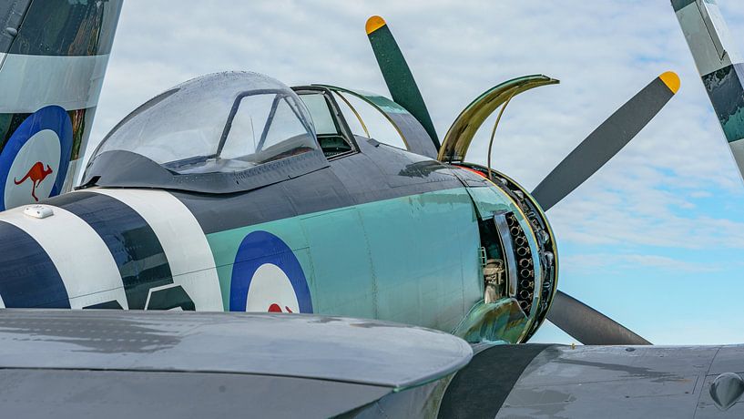 Chasseur Hawker Sea Fury FB.11. par Jaap van den Berg