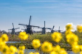 Kinderdijk von Hans Kerchman