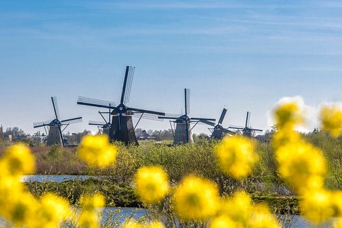 Kinderdijk sur Hans Kerchman