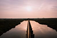 Moerputten Den Bosch #0469